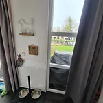 Bad Hoophuizen Miamari Nr Zuiderzee 12 * Hulshorst