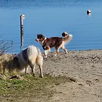 Bad Hoophuizen Miamari Nr Zuiderzee 12
