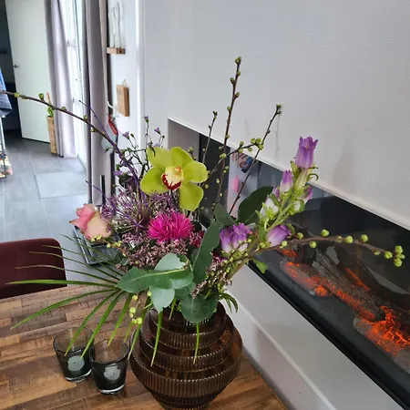 Feriehus Bad Hoophuizen Miamari Nr Zuiderzee 12