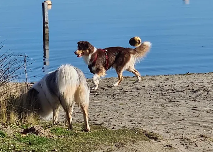 Bad Hoophuizen Miamari Nr Zuiderzee 12