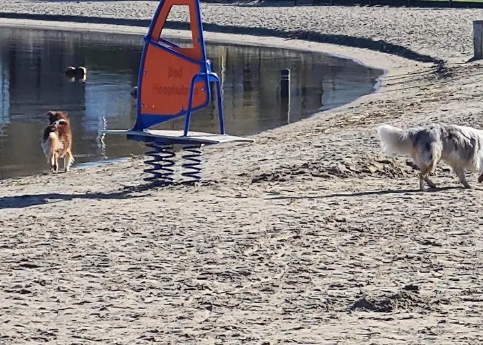 Bad Hoophuizen Miamari Nr Zuiderzee 12 * Hulshorst